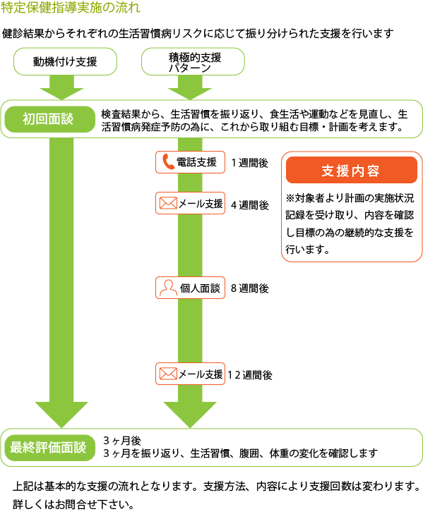 特定保健指導実施の流れ