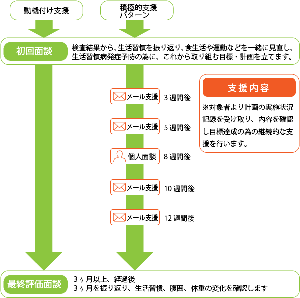 特定保健指導実施の流れ